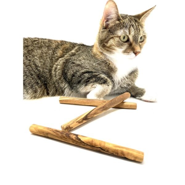 Olive wood chewing bones for small dogs or cats (set of 3)