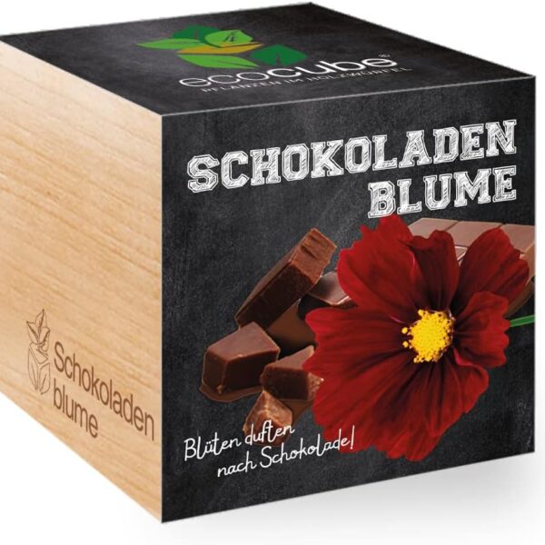 Feel Green Ecocube – čokoladni cvijet (set za uzgoj u drvenoj kocki)