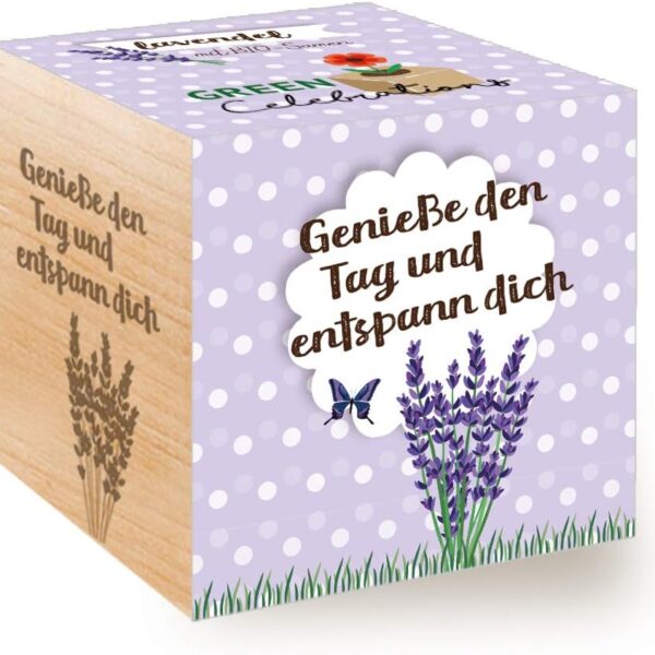 Feel Green Ecocube – set za uzgoj lavande