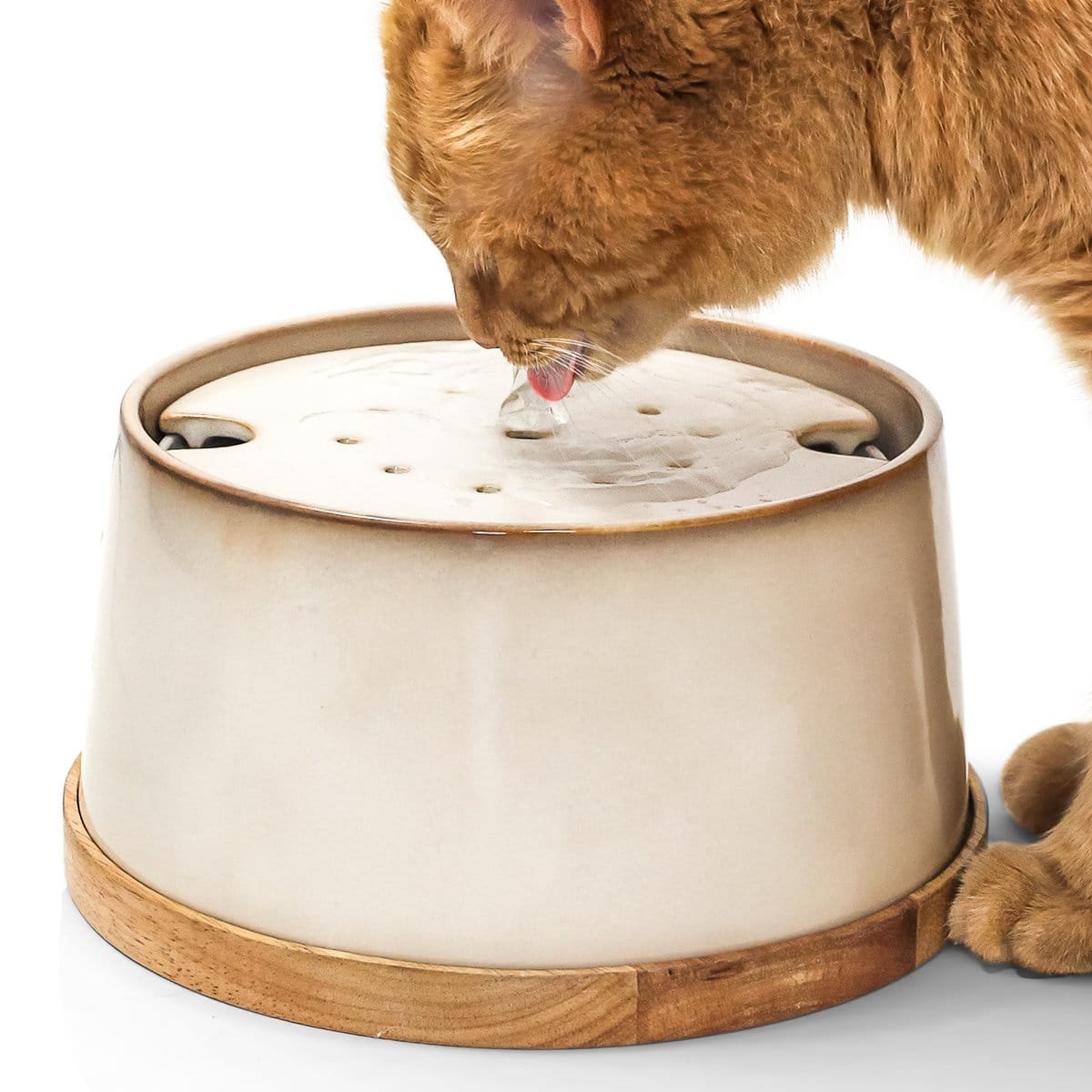 ne & no® ceramic drinking fountain for cats i bamboo base i induction