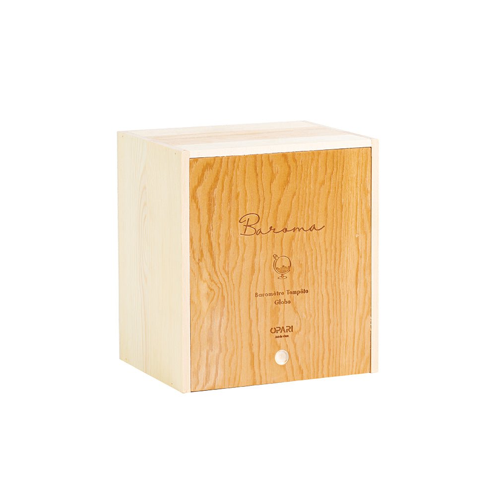 Baroma - Globe Storm Barometer - Slika 10