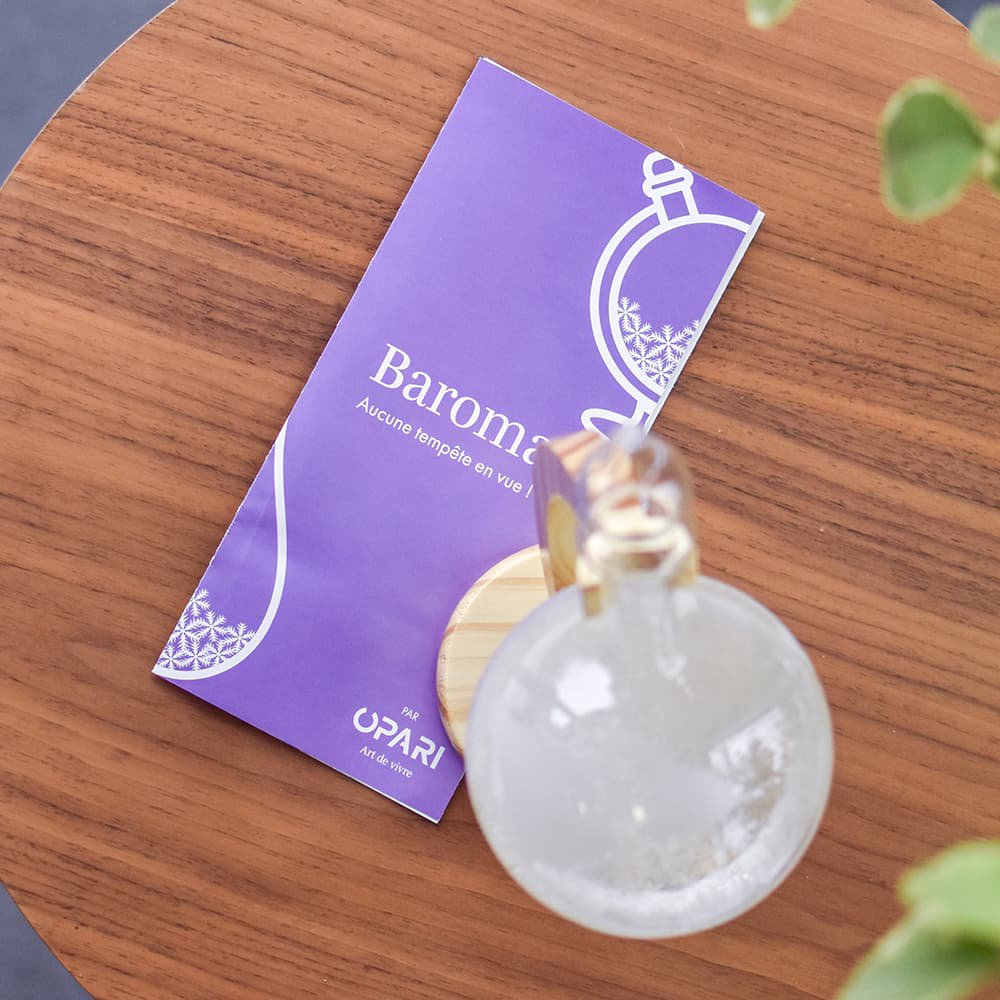 Baroma - Globe Storm Barometer - Slika 7