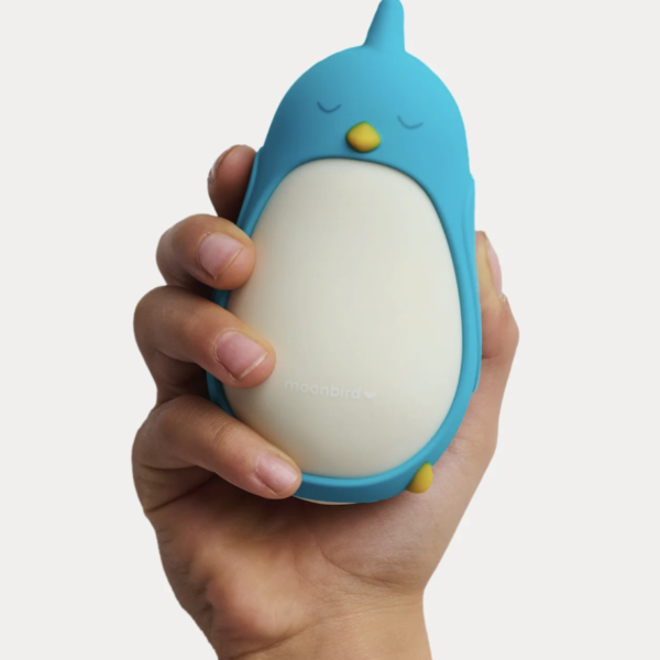 Moonbuddy-bibi-the-bird